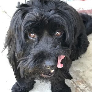 Meet your Posher, Mimi